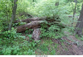 Pennypack Park run