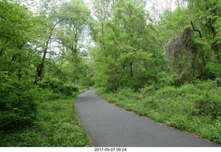 Pennypack Park run