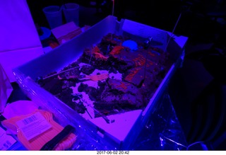 447 9q2. Brenda birthday party - what's left of the cake