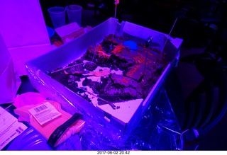 448 9q2. Brenda birthday party - what's left of the cake