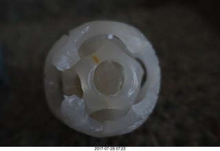 my new kittens Devin and Jane