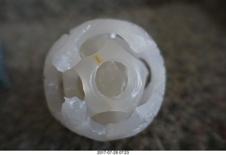 kitten and monitor - Devin