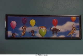 cats and balloons - picture at the vet