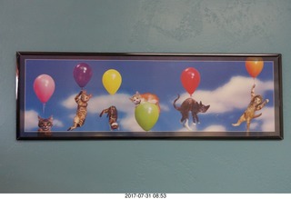 cats and balloons - picture at the vet