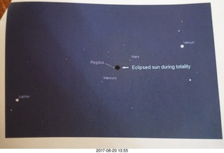 plant and star chart for eclipse
