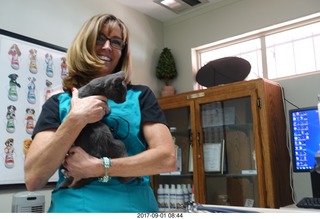 my vet Dr. Krista Gibson + my kitten Devin