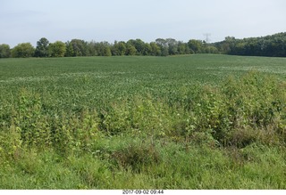 Afton, Minnesota, run