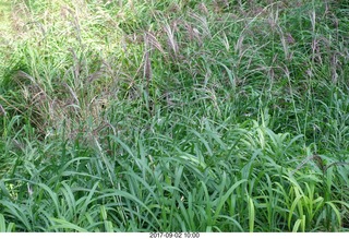 Afton, Minnesota, run