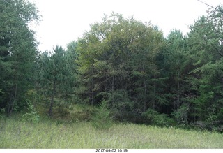 Afton, Minnesota, run