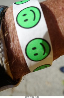 CHS food party - smiley-face wrist band