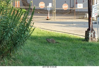 Northeast Philadelphia - Roosevelt Boulevard