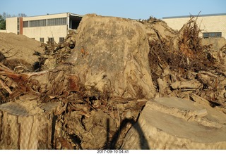 Northeast Philadelphia - Roosevelt Boulevard - old Nabisco / Kraft factory being torn down