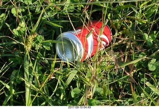 coca cola can litter