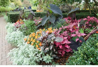 134 9ue. Longwood Gardens - flowers