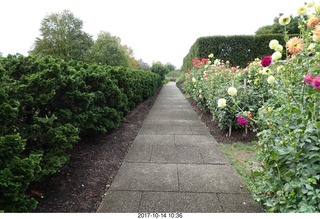 178 9ue. Longwood Gardens - flowers