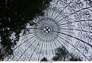 Longwood Gardens - looking up