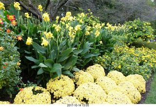 234 9ue. Longwood Gardens - flowers