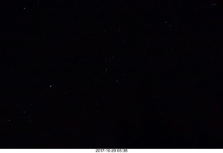 CHS-XC - Curtis Arboretum - alumni-vs-varsity - starting line