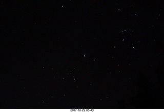 CHS-XC - Curtis Arboretum - alumni-vs-varsity - starting line