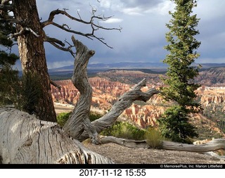 pictures from bryce-canyon sd-card