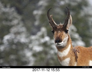 pictures from bryce-canyon sd-card