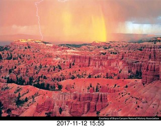 pictures from bryce-canyon sd-card - animal