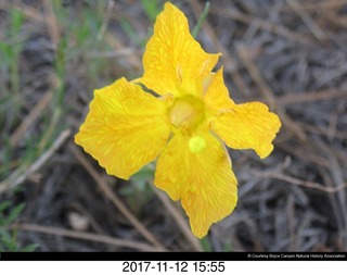 pictures from bryce-canyon sd-card