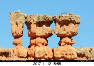 pictures from bryce-canyon sd-card - flowers