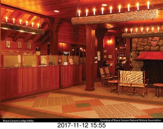 pictures from bryce-canyon sd-card  - leaves