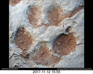 pictures from bryce-canyon sd-card