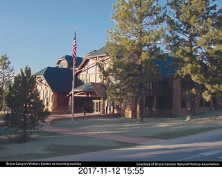 qpictures from bryce-canyon sd-card  - flower