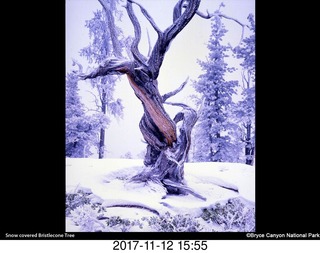 pictures from bryce-canyon sd-card