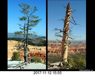 pictures from bryce-canyon sd-card
