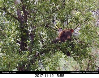 pictures from bryce-canyon sd-card  - break