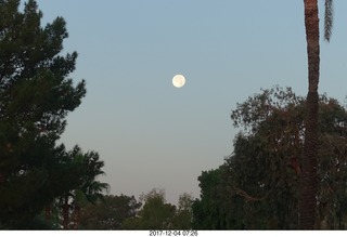 Thermopolis El Rancho Motel - Moon Pie Chocolate