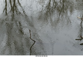 Princeton canal run - raindrops