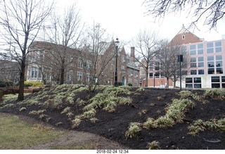 Princeton Alumni Day