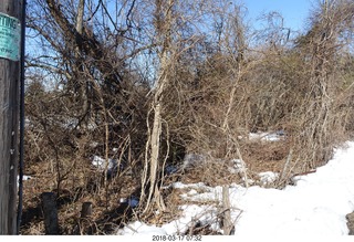 Cherry Valley Road and Province Line Road - Bedens Brook run