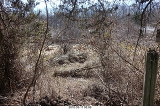 Cherry Valley Road and Province Line Road - Bedens Brook run