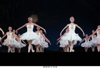 Academy of Music - Swan Lake ballet