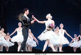 Academy of Music - Swan Lake ballet