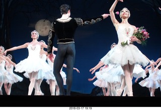 Academy of Music - Swan Lake ballet