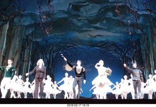 Academy of Music - Swan Lake ballet