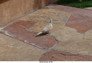 El Delator yearbook picture - Adam