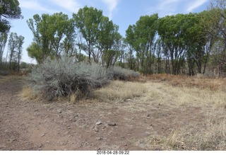 223 a00. Double Circle at Eagle Creek airstrip (Z66) run