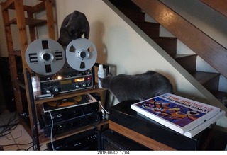 my cats Devin and Jane and their first experience with reel-to-reel tape