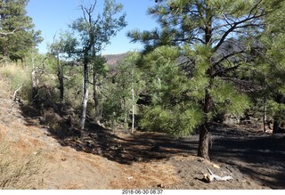 13 a02. drive from scottsdale to gateway canyon - Sunset crater