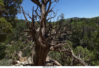 Black Canyon of the Gunnison National Park hike