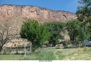 Shaun's and Karen's back yard.