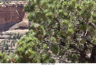 Colorado National Monument sign